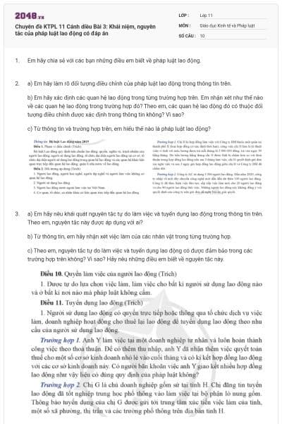 Chuyên đề KTPL 11 Cánh diều Bài 3: Khái niệm, nguyên tắc của pháp luật lao động có đáp án