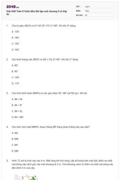 Giải SGK Toán 8 Cánh diều Bài tập cuối chương 5 có đáp án