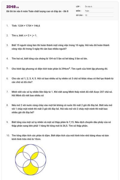 Đề thi ôn vào 6 môn Toán chất lượng cao có đáp án - Đề 8