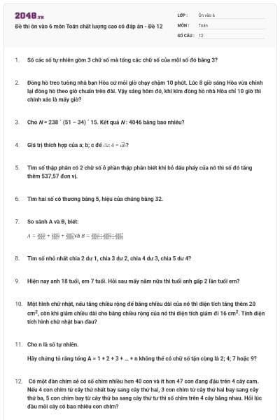 Đề thi ôn vào 6 môn Toán chất lượng cao có đáp án - Đề 12