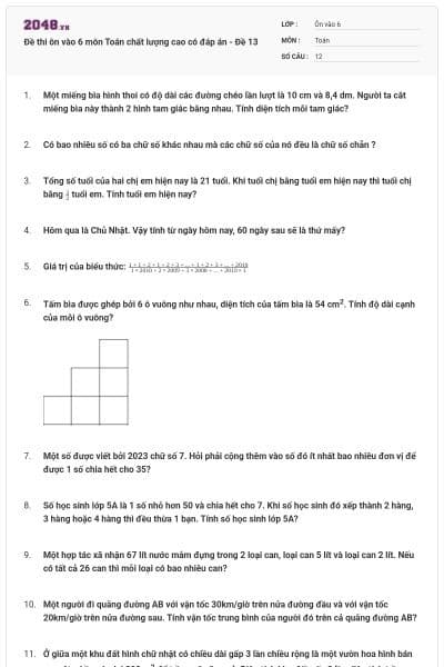 Đề thi ôn vào 6 môn Toán chất lượng cao có đáp án - Đề 13