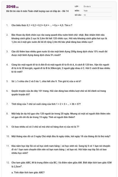 Đề thi ôn vào 6 môn Toán chất lượng cao có đáp án - Đề 14