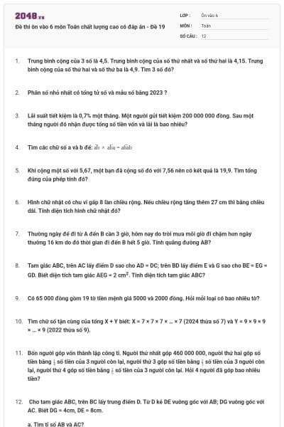 Đề thi ôn vào 6 môn Toán chất lượng cao có đáp án - Đề 19