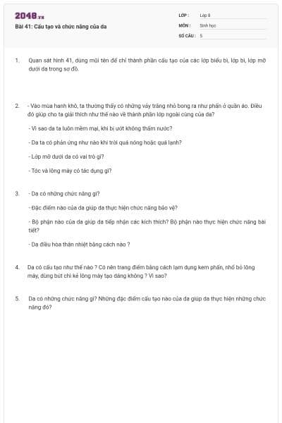 Bài 41: Cấu tạo và chức năng của da