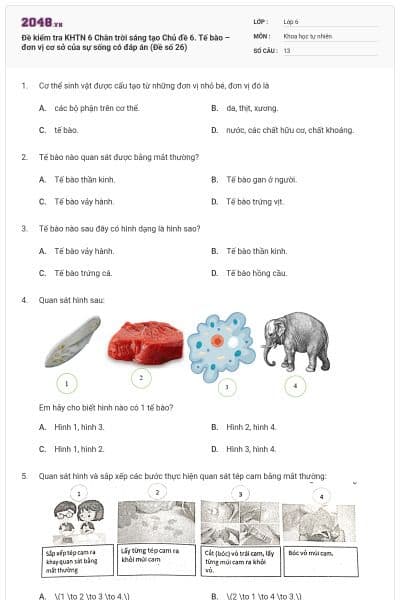 Đề kiểm tra KHTN 6 Chân trời sáng tạo Chủ đề 6. Tế bào – đơn vị cơ sở của sự sống có đáp án (Đề số 26)