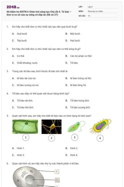 Đề kiểm tra KHTN 6 Chân trời sáng tạo Chủ đề 6. Tế bào – đơn vị cơ sở của sự sống có đáp án (Đề số 27)