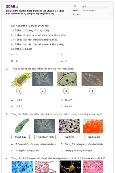 Đề kiểm tra KHTN 6 Chân trời sáng tạo Chủ đề 6. Tế bào – đơn vị cơ sở của sự sống có đáp án (Đề số 28)