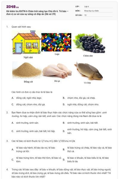 Đề kiểm tra KHTN 6 Chân trời sáng tạo Chủ đề 6. Tế bào – đơn vị cơ sở của sự sống có đáp án (Đề số 29)