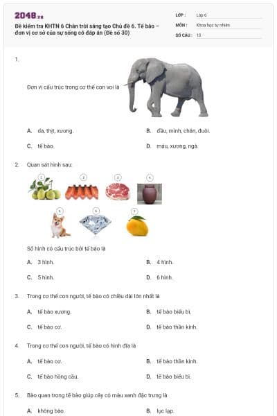 Đề kiểm tra KHTN 6 Chân trời sáng tạo Chủ đề 6. Tế bào – đơn vị cơ sở của sự sống có đáp án (Đề số 30)