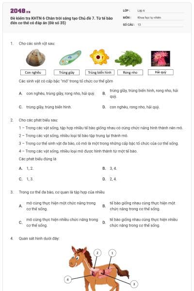 Đề kiểm tra KHTN 6 Chân trời sáng tạo Chủ đề 7. Từ tế bào đến cơ thể có đáp án (Đề số 35)