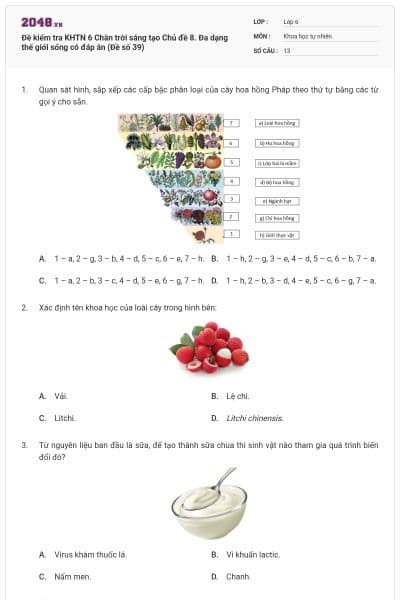 Đề kiểm tra KHTN 6 Chân trời sáng tạo Chủ đề 8. Đa dạng thế giới sống có đáp án (Đề số 39)