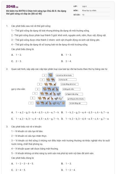 Đề kiểm tra KHTN 6 Chân trời sáng tạo Chủ đề 8. Đa dạng thế giới sống có đáp án (Đề số 40)