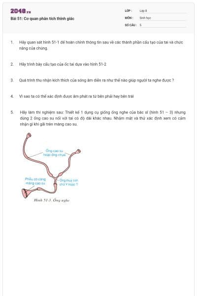 Bài 51: Cơ quan phân tích thính giác