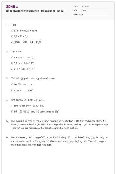 Đề thi tuyển sinh vào lớp 6 môn Toán có đáp án - Đề 12