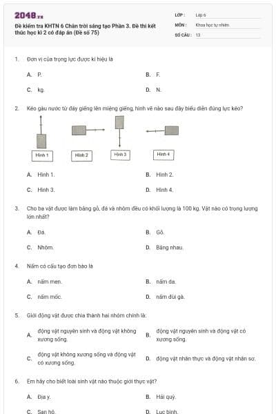 Đề kiểm tra KHTN 6 Chân trời sáng tạo Phần 3. Đề thi kết thúc học kì 2 có đáp án (Đề số 75)