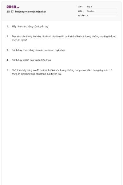 Bài 57: Tuyến tụy và tuyến trên thận