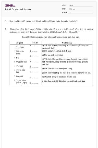 Bài 60: Cơ quan sinh dục nam