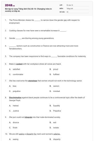 Bài tập từ vựng Tiếng Anh Chủ đề 16: Changing roles in society có đáp án