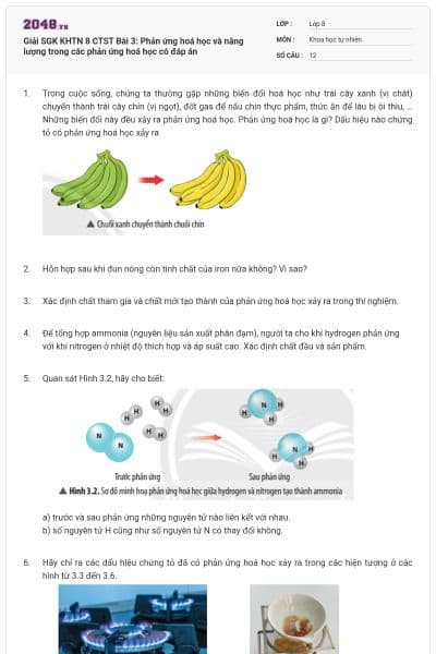 Giải SGK KHTN 8 CTST Bài 3: Phản ứng hoá học và năng lượng trong các phản ứng hoá học có đáp án