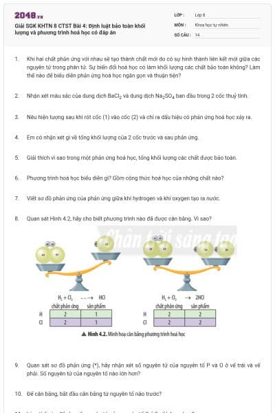 Giải SGK KHTN 8 CTST Bài 4: Định luật bảo toàn khối lượng và phương trình hoá học có đáp án