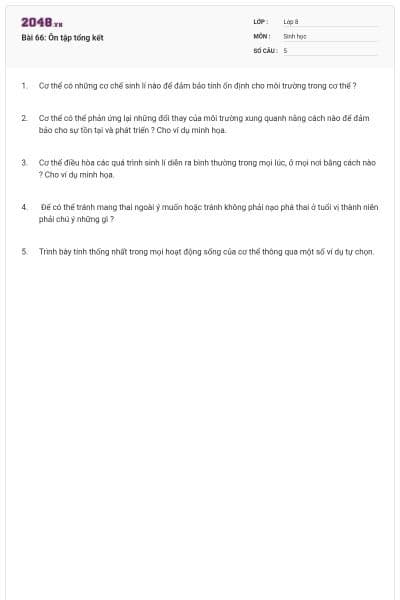 Bài 66: Ôn tập tổng kết