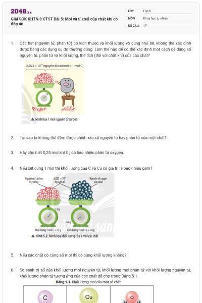 Giải SGK KHTN 8 CTST Bài 5: Mol và tỉ khối của chất khí có đáp án