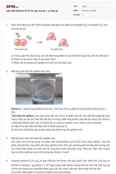 Giải SGK KHTN 8 CTST Ôn tập chủ đề 1 có đáp án