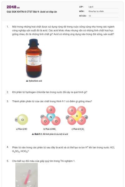 Giải SGK KHTN 8 CTST Bài 9: Acid có đáp án