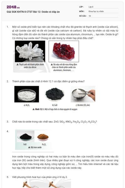 Giải SGK KHTN 8 CTST Bài 12: Oxide có đáp án