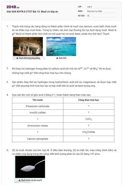 Giải SGK KHTN 8 CTST Bài 13: Muối có đáp án