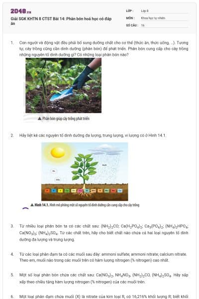 Giải SGK KHTN 8 CTST Bài 14: Phân bón hoá học có đáp án