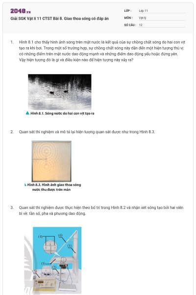 Giải SGK Vật lí 11 CTST Bài 8. Giao thoa sóng có đáp án