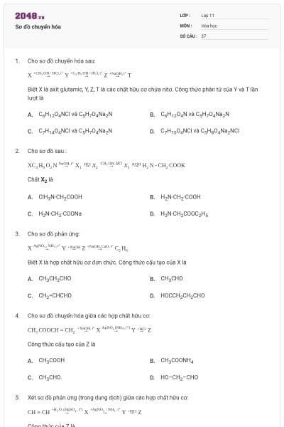 Sơ đồ chuyển hóa