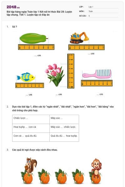 Bài tập hàng ngày Toán lớp 1 Kết nối tri thức Bài 28: Luyện tập chung. Tiết 1. Luyện tập có đáp án