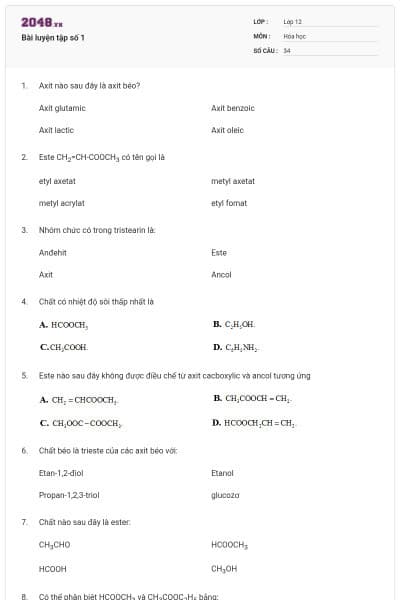 Bài luyện tập số 1