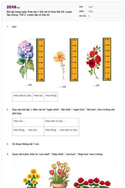 Bài tập hàng ngày Toán lớp 1 Kết nối tri thức Bài 28: Luyện tập chung. Tiết 2. Luyện tập có đáp án