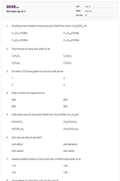 Bài luyện tập số 2