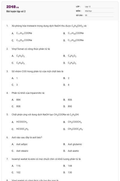 Bài luyện tập số 2