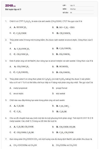 Bài luyện tập số 3