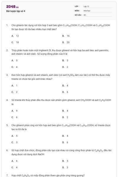 Bài luyện tập số 4