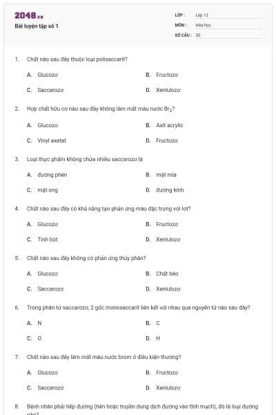 Bài luyện tập số 1