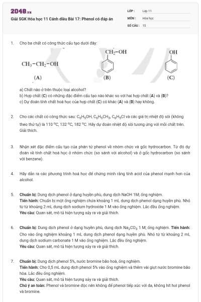 Giải SGK Hóa học 11 Cánh diều Bài 17: Phenol có đáp án