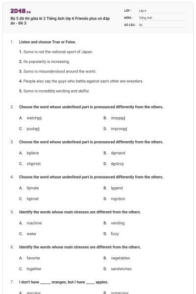 Bộ 5 đề thi giữa kì 2 Tiếng Anh lớp 6 Friends plus có đáp án - Đề 3