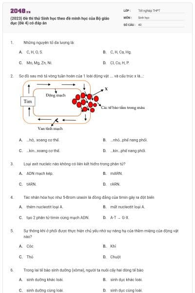 (2023) Đề thi thử Sinh học theo đề minh học của Bộ giáo dục (Đề 4) có đáp án