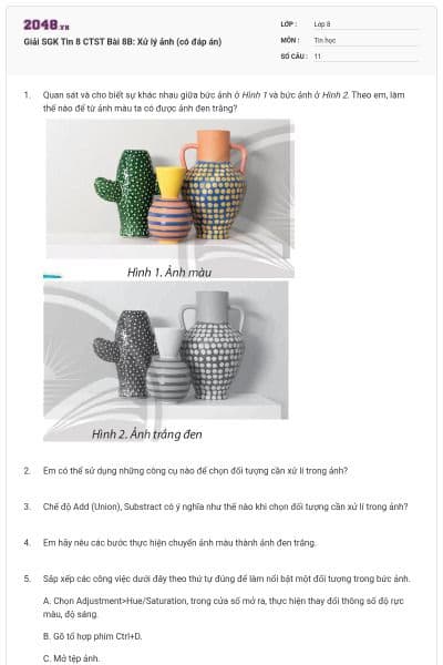 Giải SGK Tin 8 CTST Bài 8B: Xử lý ảnh (có đáp án)