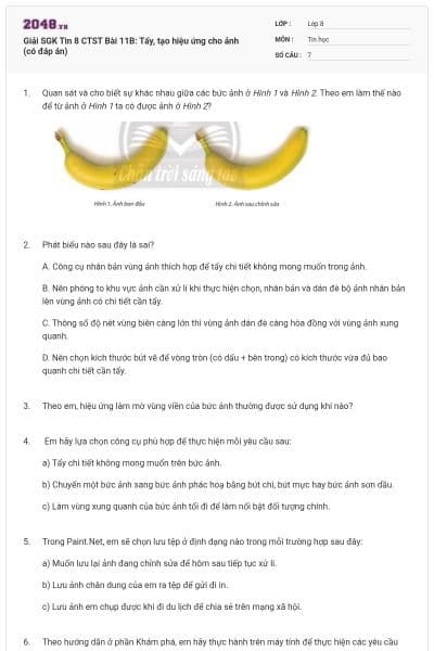 Giải SGK Tin 8 CTST Bài 11B: Tẩy, tạo hiệu ứng cho ảnh (có đáp án)