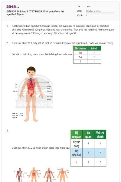 Giải SGK Sinh học 8 CTST Bài 29. Khái quát về cơ thể người có đáp án