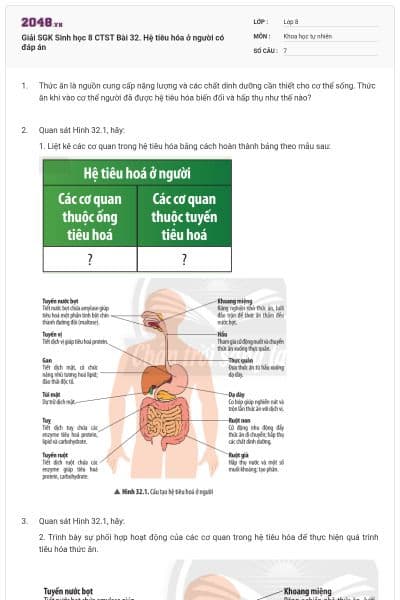 Giải SGK Sinh học 8 CTST Bài 32. Hệ tiêu hóa ở người có đáp án