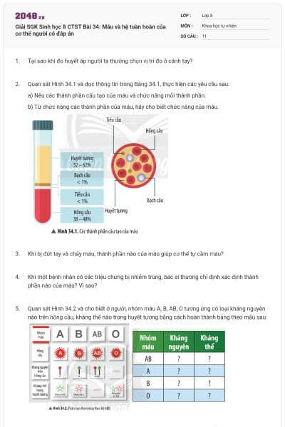 Giải SGK Sinh học 8 CTST Bài 34: Máu và hệ tuần hoàn của cơ thể người có đáp án