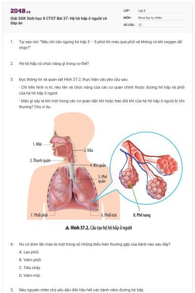 Giải SGK Sinh học 8 CTST Bài 37: Hệ hô hấp ở người có đáp án